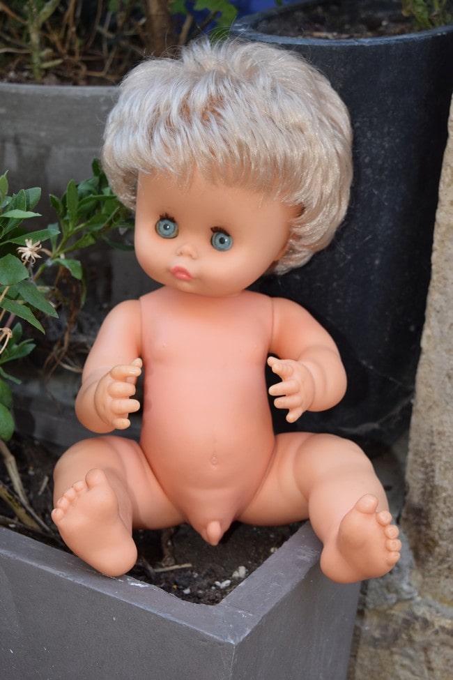 poupon Clodrey Dernier Né 1971