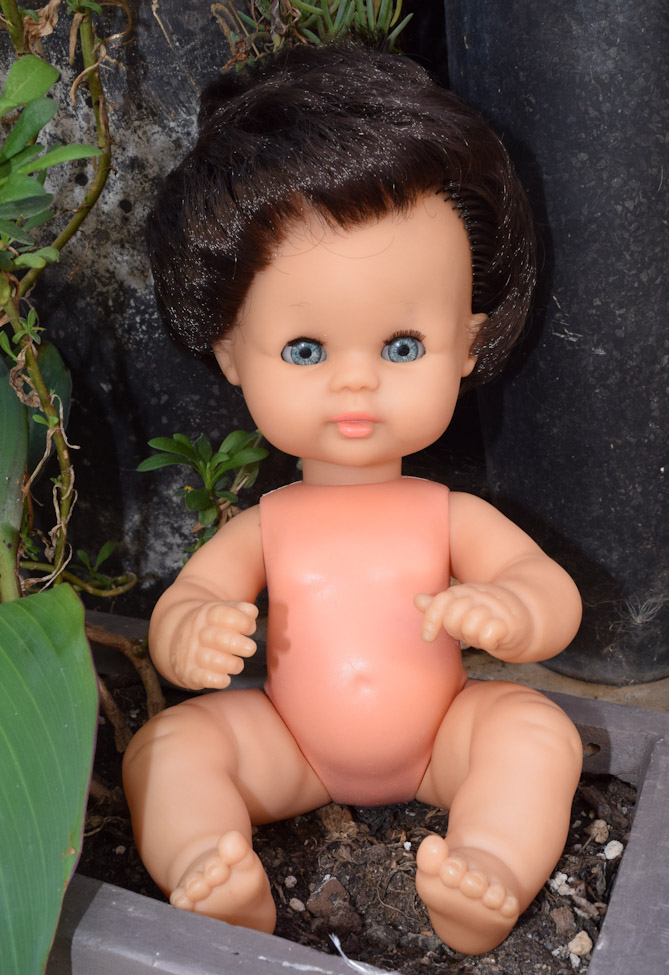 poupon Clodrey mystère