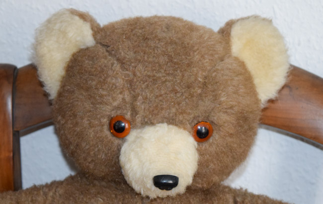 ours en peluche ajena